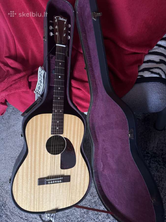 Gitaros - nuotraukos Nr. 3
