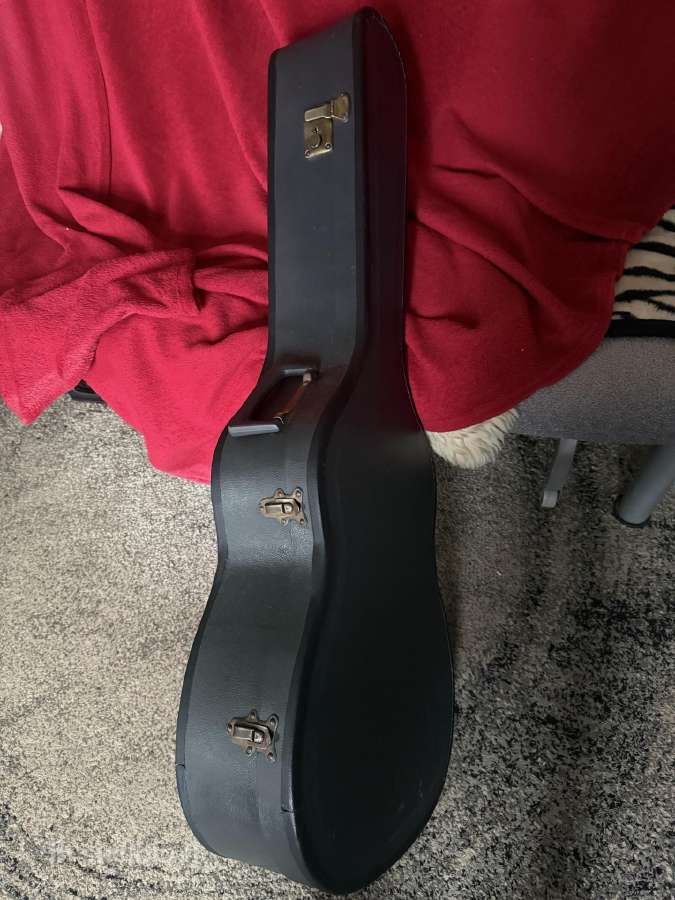 Gitaros - nuotraukos Nr. 4