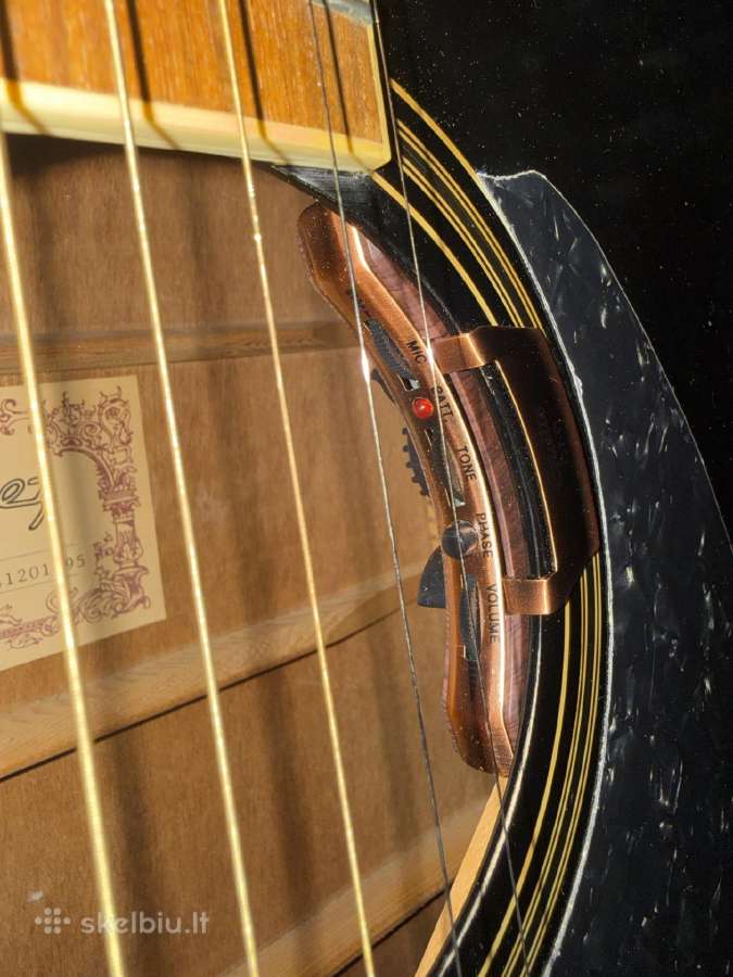 Gitaros - nuotraukos Nr. 2