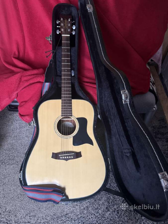 Gitaros - nuotraukos Nr. 3