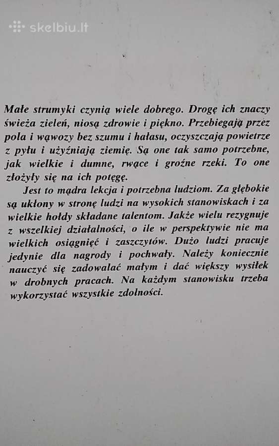Švietimas - nuotraukos Nr. 8