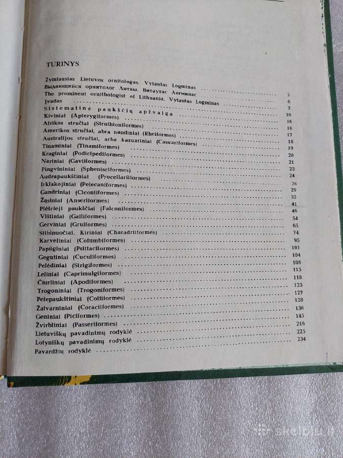 Pasaulio paukščiai - nuotraukos Nr. 6