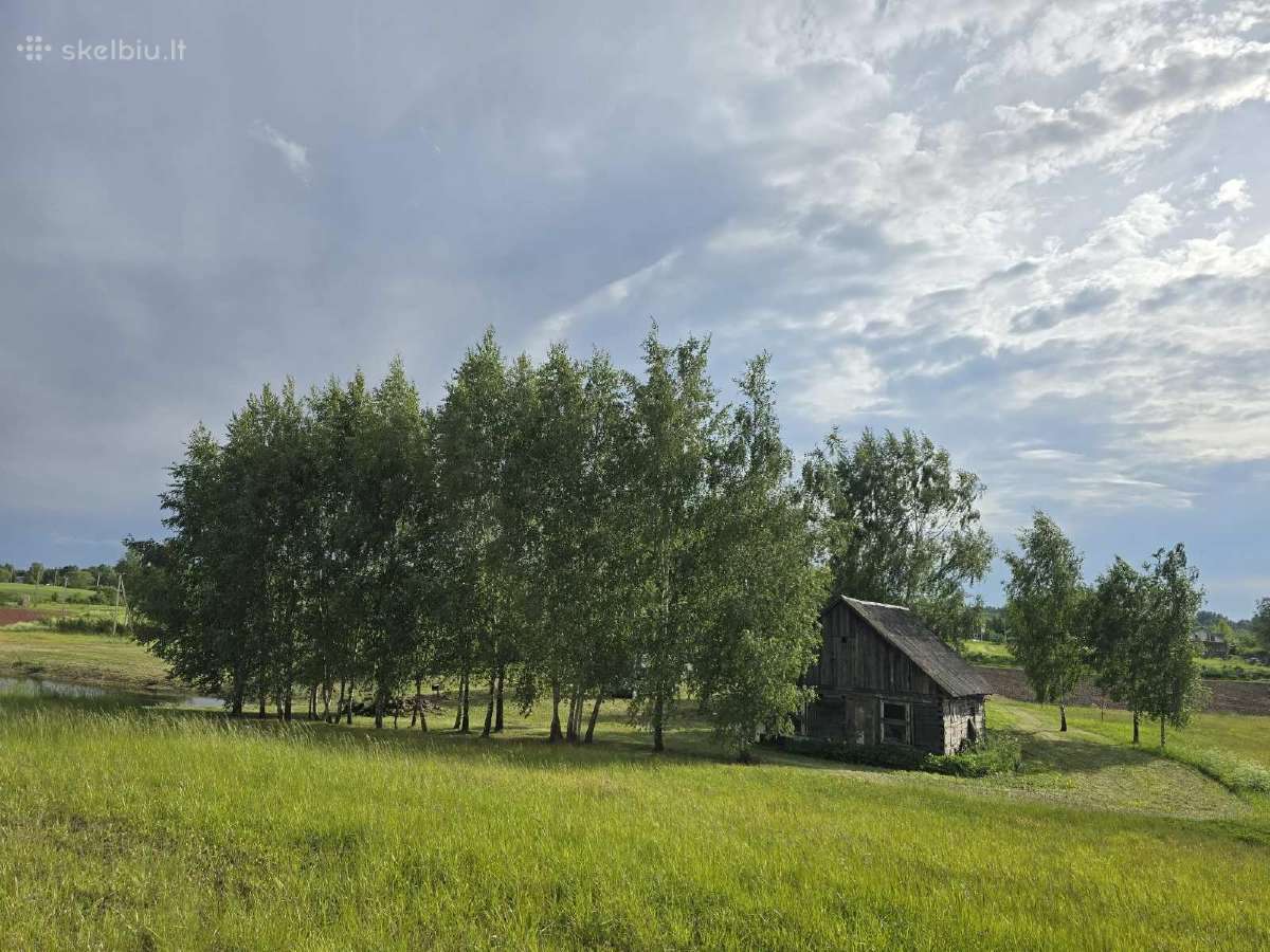 Sodyba su tvenkiniu ir miškeliu, 3,3 ha - nuotraukos Nr. 2