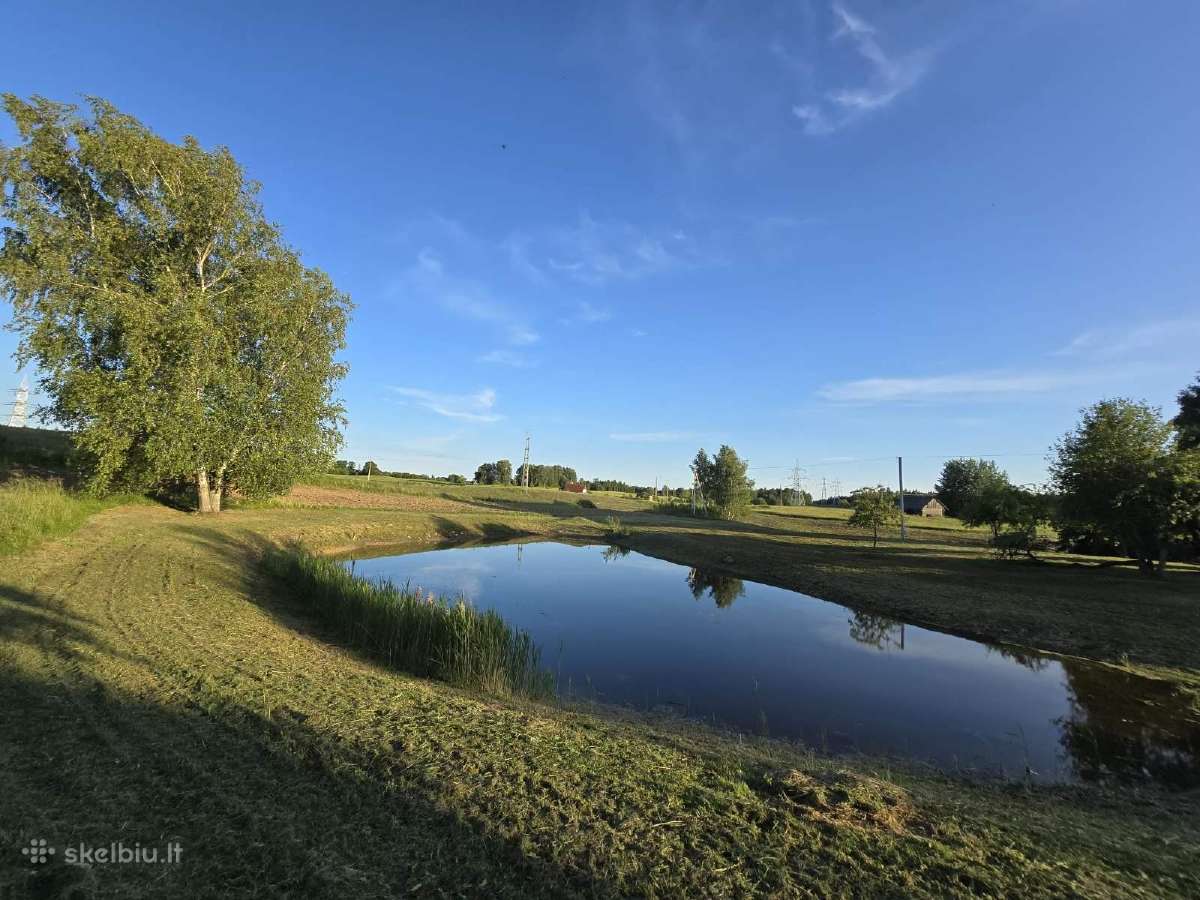 Sodyba su tvenkiniu ir miškeliu, 3,3 ha - nuotraukos Nr. 3