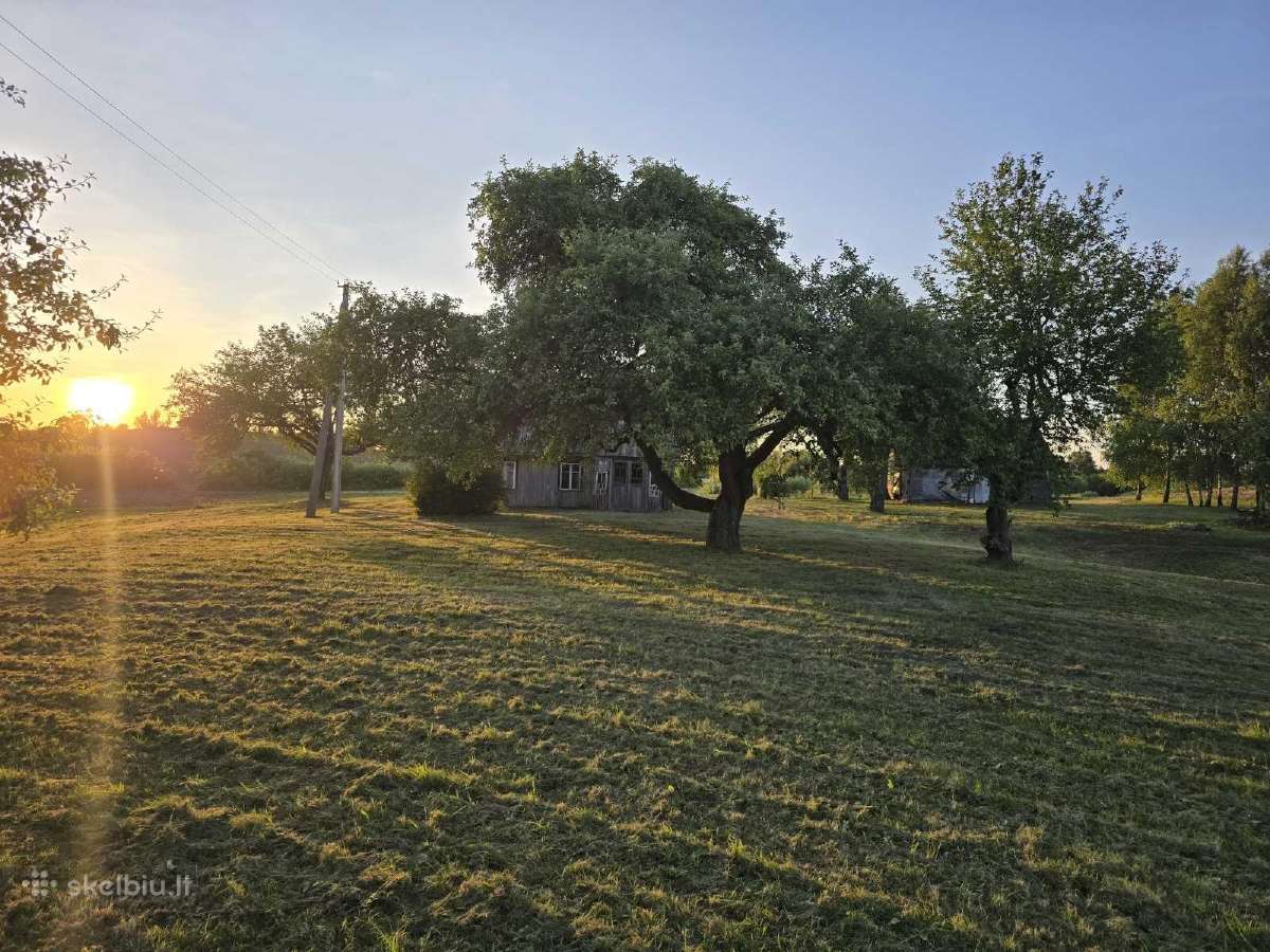 Sodyba su tvenkiniu ir miškeliu, 3,3 ha - nuotraukos Nr. 6