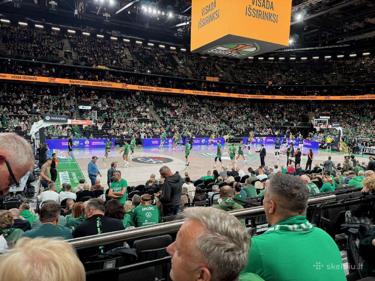 Puikus bilietas 1 aukšte į Žalgiris-partizan - nuotraukos Nr. 2