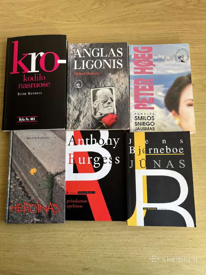 Parduodu 62 - i knygas už 55eur - nuotraukos Nr. 3