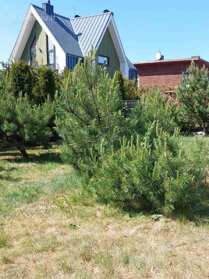 Kunigiškiuose butas su didele terasa - nuotraukos Nr. 24