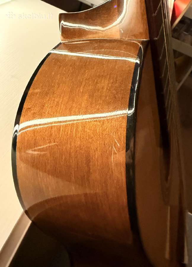 Klasikinė gitara - nuotraukos Nr. 3