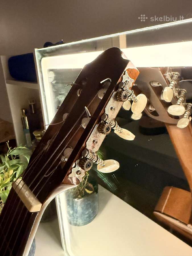 Klasikinė gitara - nuotraukos Nr. 4