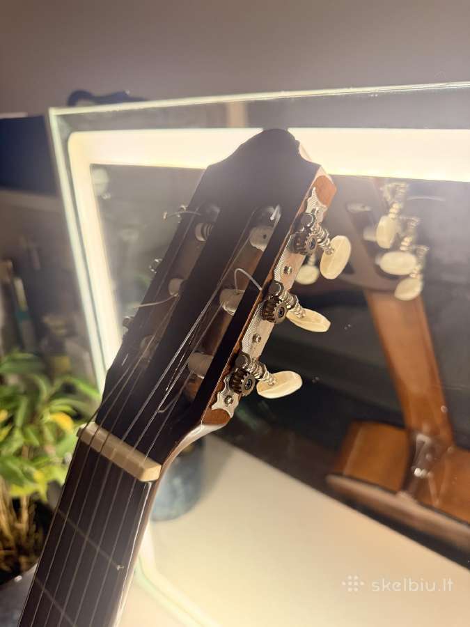 Klasikinė gitara - nuotraukos Nr. 5