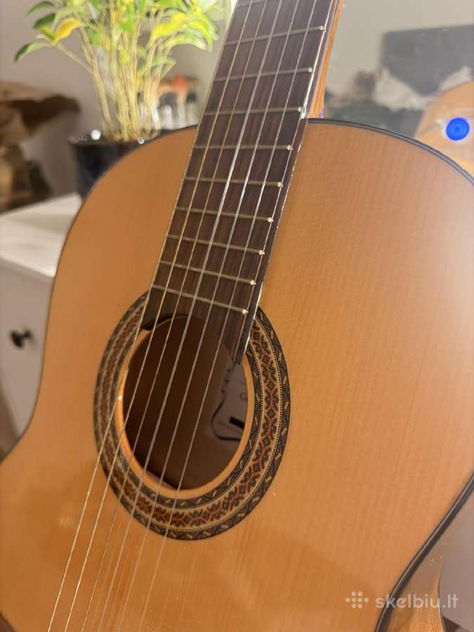 Klasikinė gitara - nuotraukos Nr. 6
