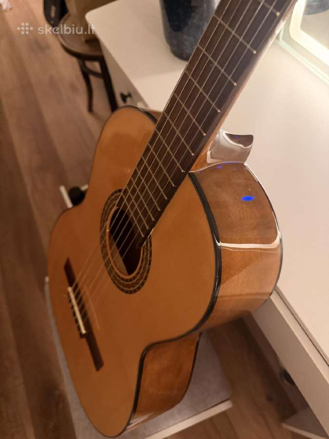 Klasikinė gitara - nuotraukos Nr. 10