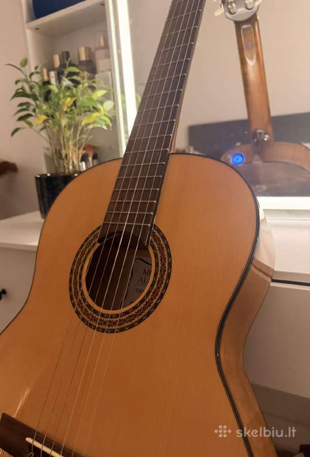 Klasikinė gitara - nuotraukos Nr. 11
