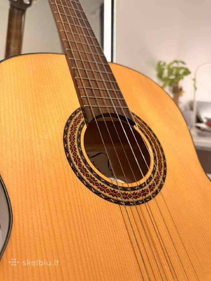 Klasikinė gitara - nuotraukos Nr. 14
