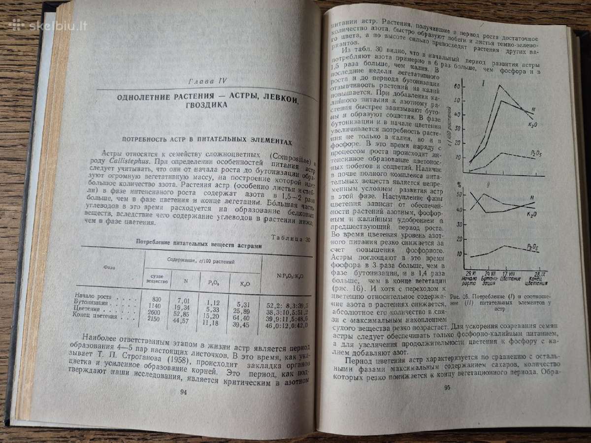 Dekoratyvinių augalų maitinimo ir tręšimo ypatumai - nuotraukos Nr. 4