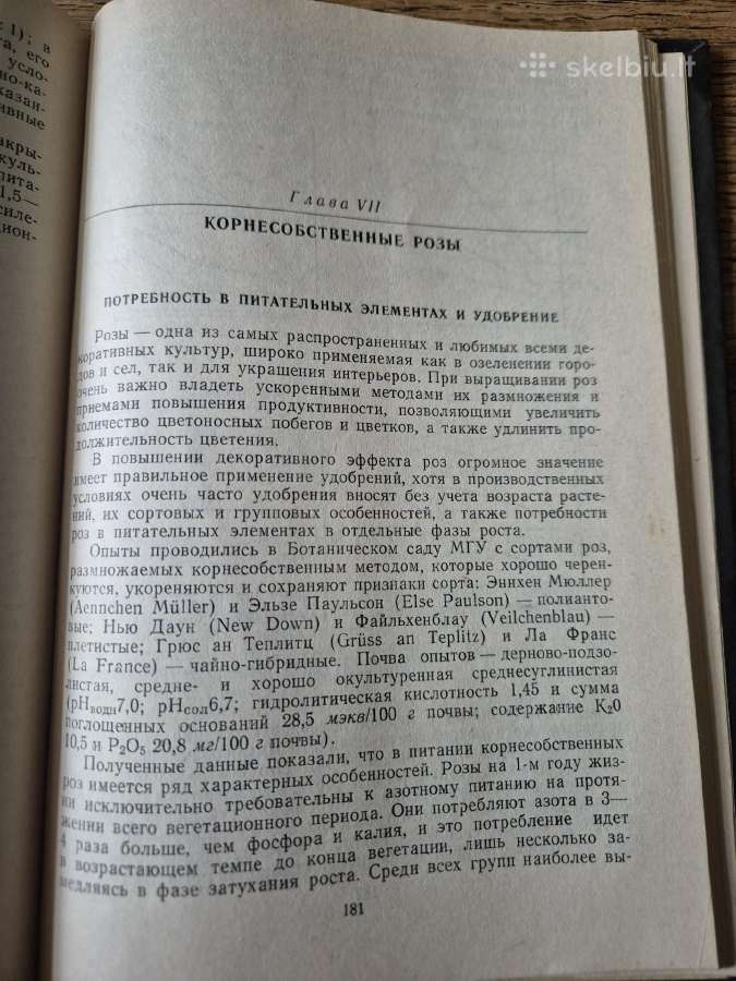 Dekoratyvinių augalų maitinimo ir tręšimo ypatumai - nuotraukos Nr. 5
