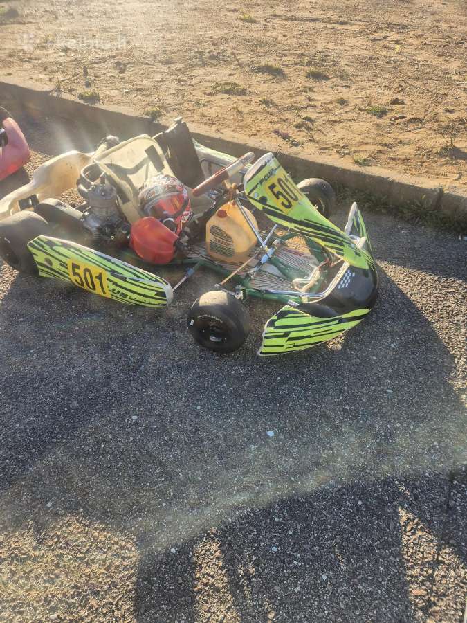 Kartingas Leopard - nuotraukos Nr. 2