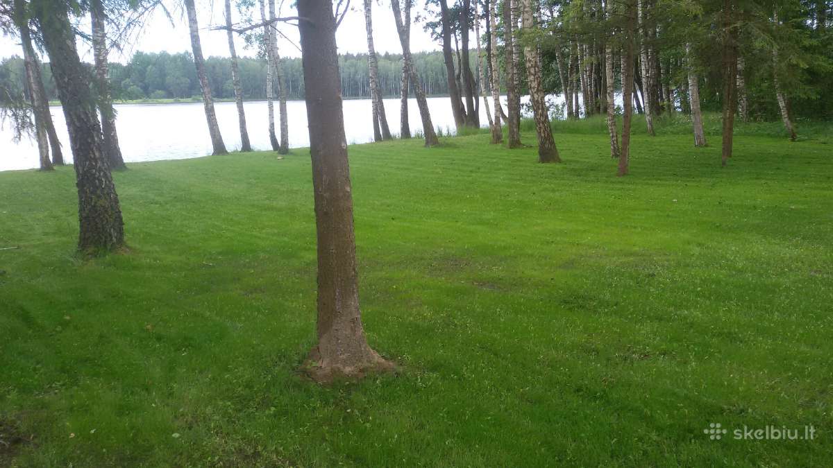 Tvarkom .pjaunam.sodinam - nuotraukos Nr. 11
