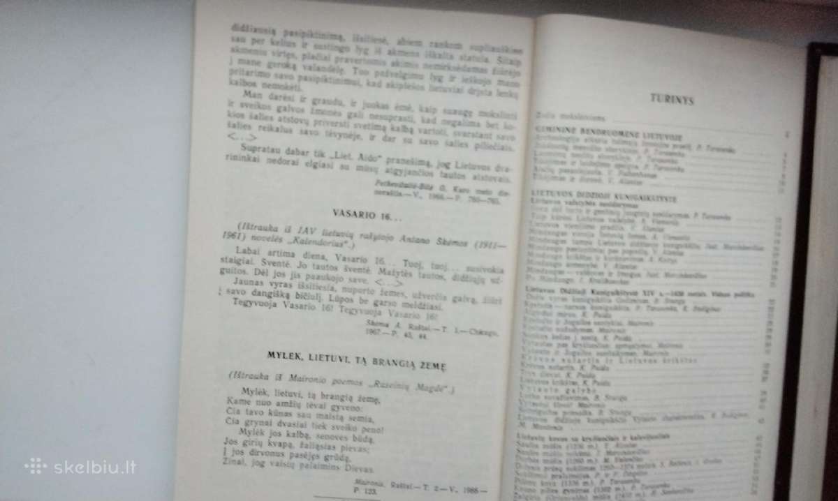 Lietuvos istorija grožinėje .iteratūroje - nuotraukos Nr. 10