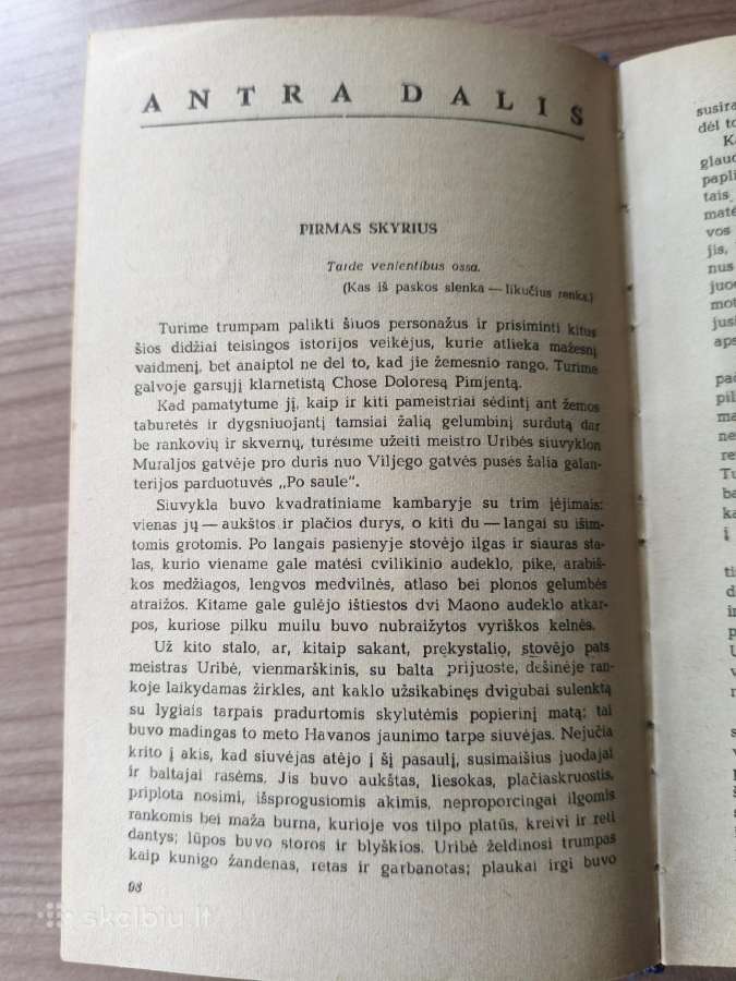 Sirilas Viljaverdė "Sesilija Valdes" - nuotraukos Nr. 9