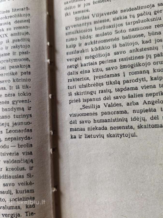 Sirilas Viljaverdė "Sesilija Valdes" - nuotraukos Nr. 14
