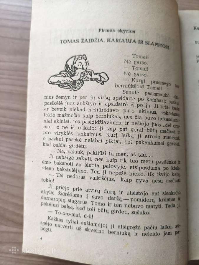 "Tomo Sojerio nuotykiai. Heklberio Fino nuotykiai" - nuotraukos Nr. 8