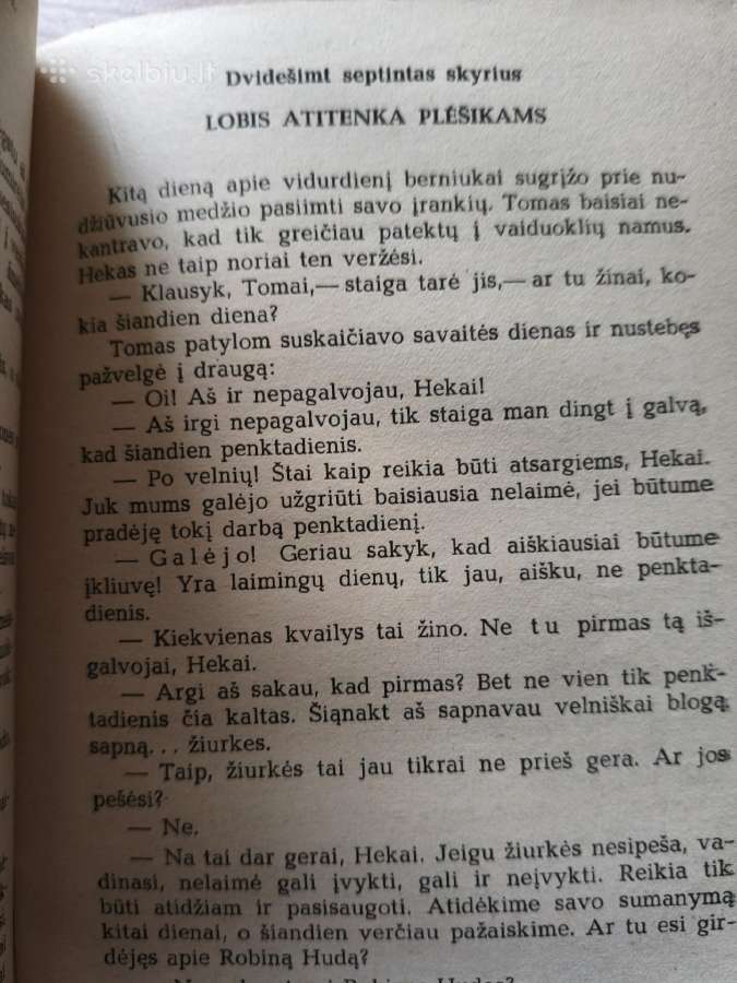 "Tomo Sojerio nuotykiai. Heklberio Fino nuotykiai" - nuotraukos Nr. 10