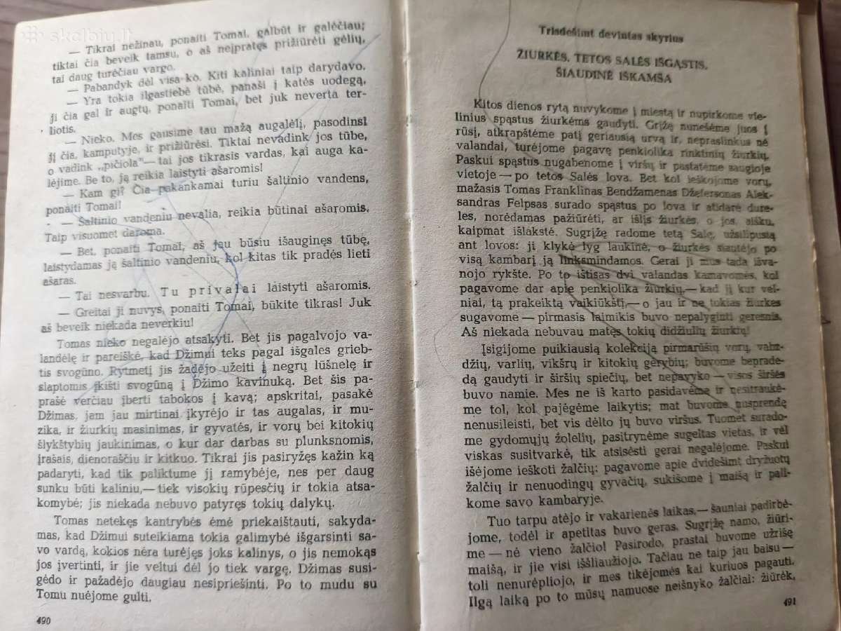 "Tomo Sojerio nuotykiai. Heklberio Fino nuotykiai" - nuotraukos Nr. 13