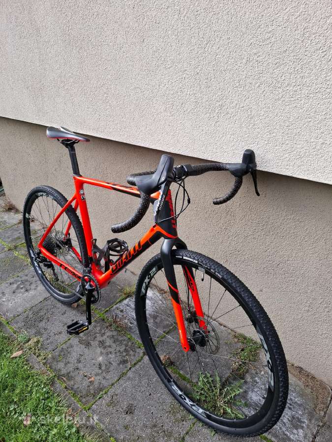 Giant Tsx - nuotraukos Nr. 2