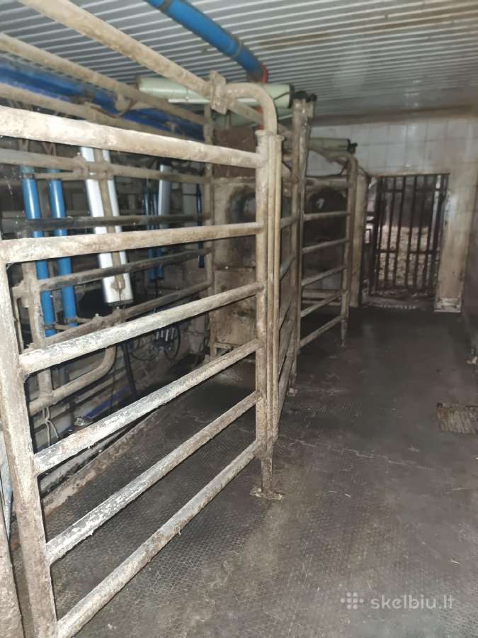 Delaval pieno melžimo aikštelė ir šaldytuvai - nuotraukos Nr. 10
