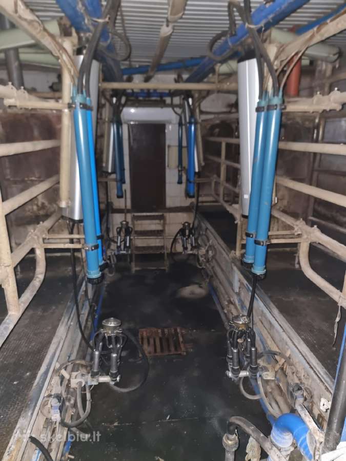 Delaval pieno melžimo aikštelė ir šaldytuvai - nuotraukos Nr. 11