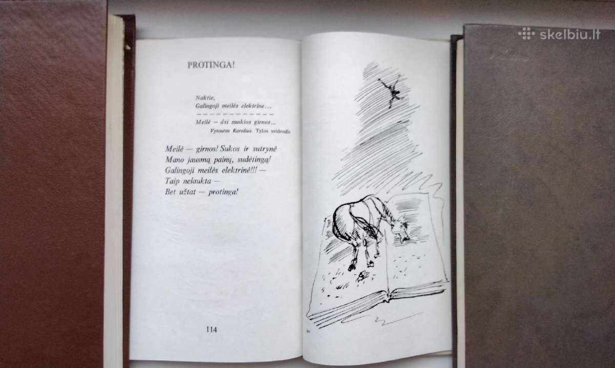 J. Nekrošius. Paskutinis taškas. 1975 m. - nuotraukos Nr. 8