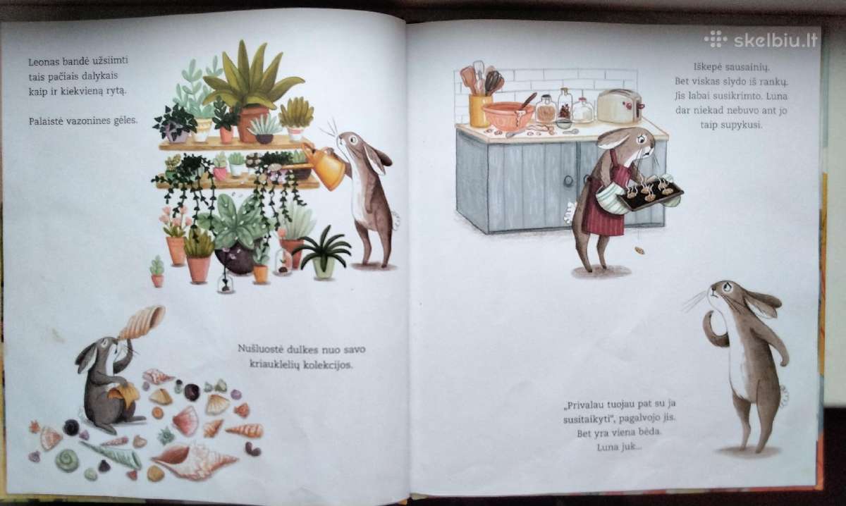 N. Kinnear. Kaip kiškis mokėsi drąsos - nuotraukos Nr. 5