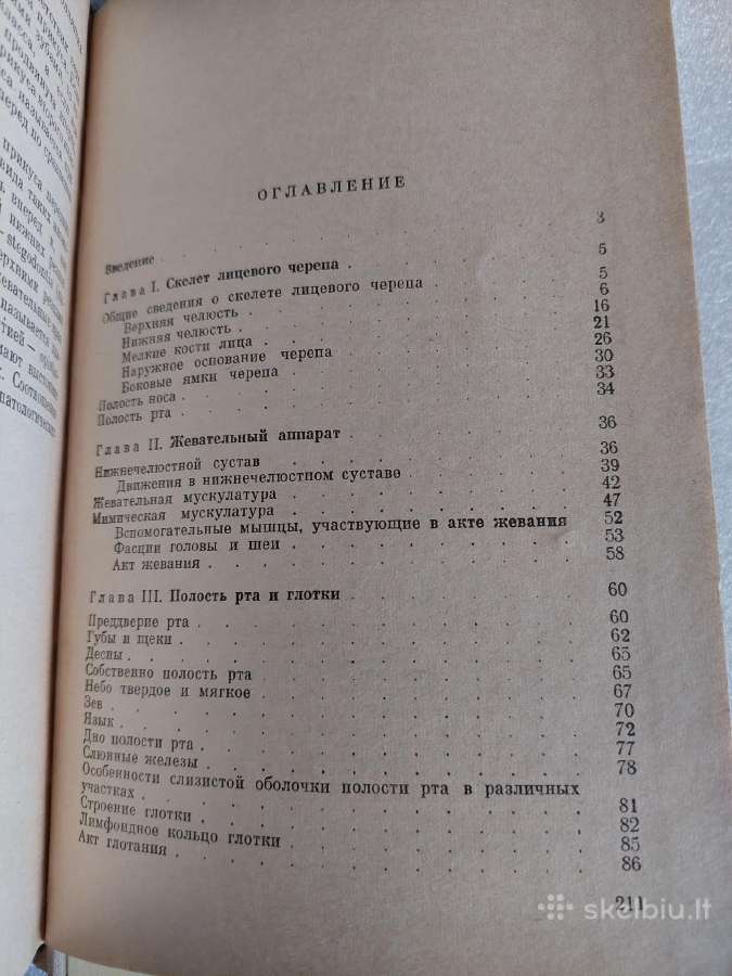 Анатомия органов полости рта - nuotraukos Nr. 7