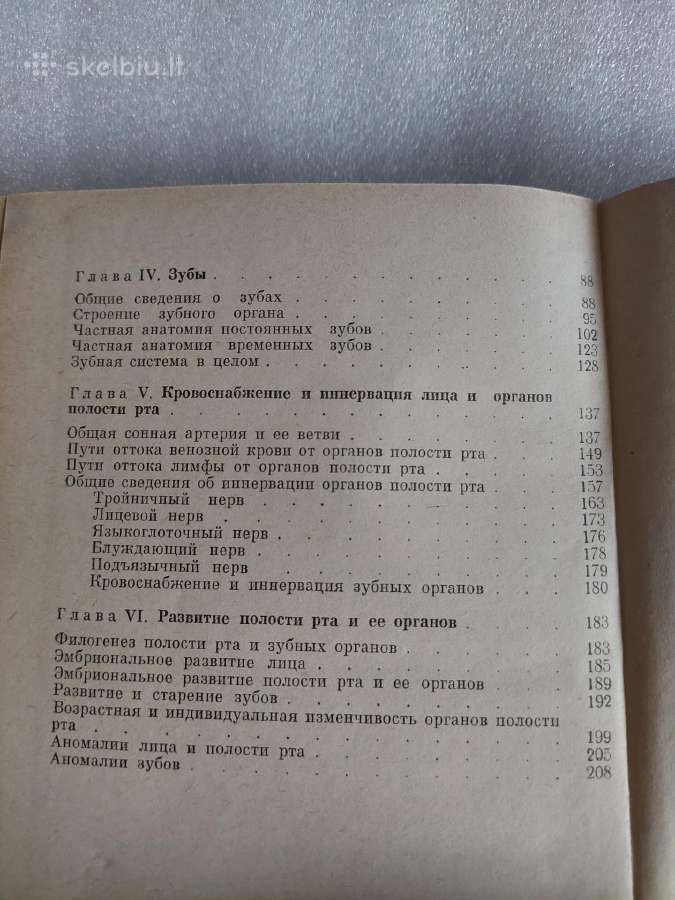 Анатомия органов полости рта - nuotraukos Nr. 8