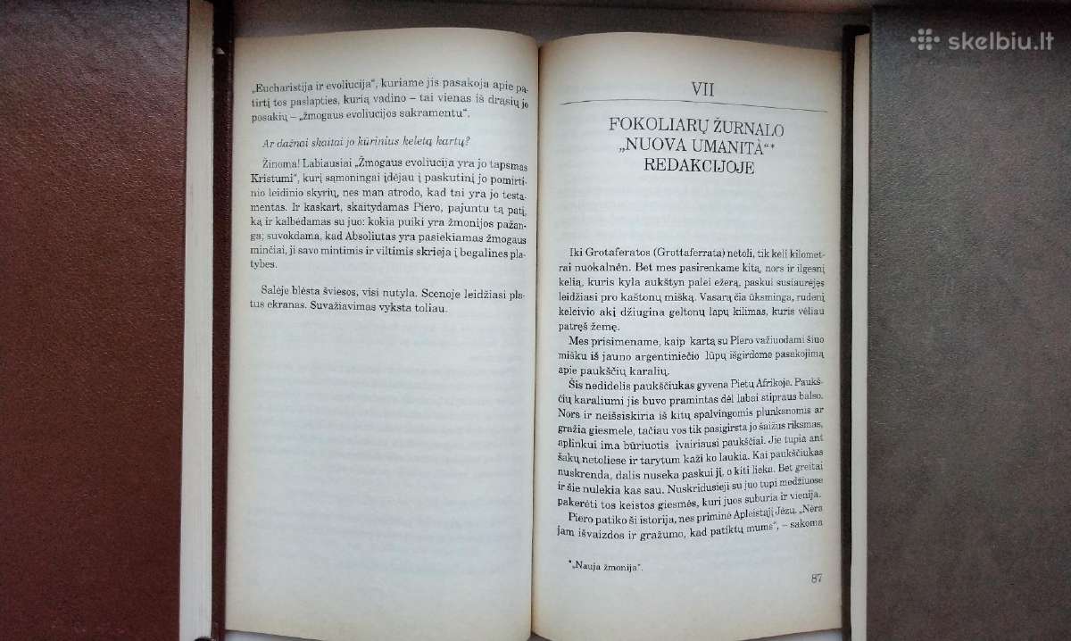 Nesuvaržytas mokslas. P. Pasolini Kelionė - nuotraukos Nr. 7