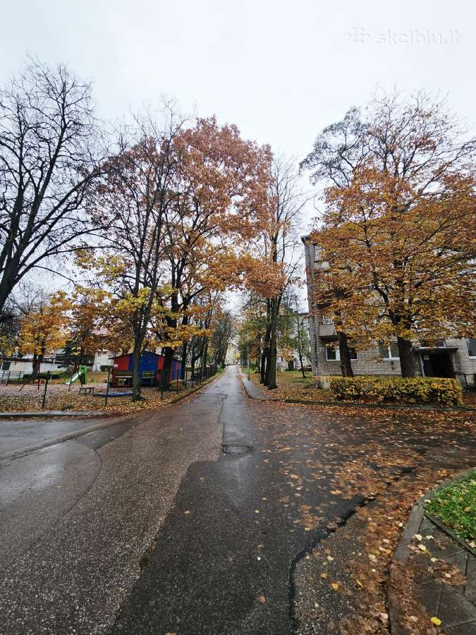 Šviesus ir jaukus 2 kambarių butas - nuotraukos Nr. 15