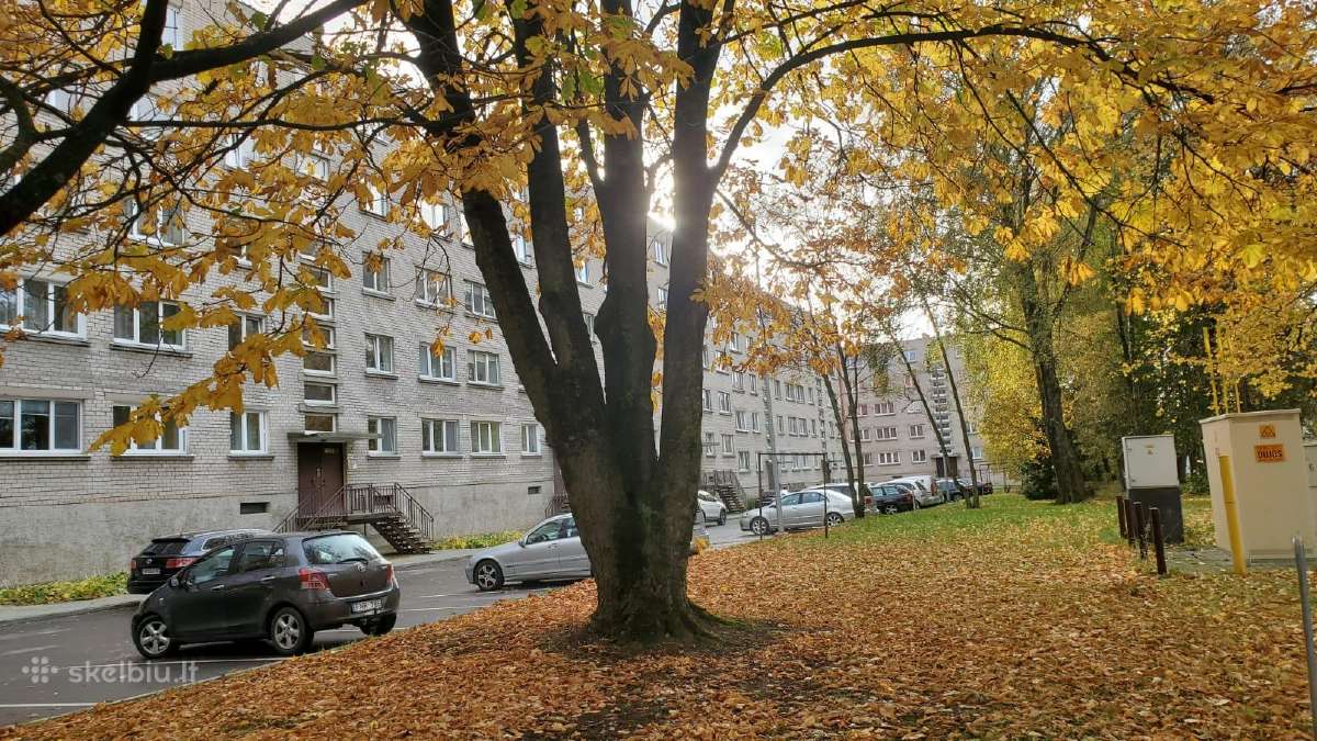 Išnuomojamas butas Šilutės plento pradžioje, 46 m² - nuotraukos Nr. 3