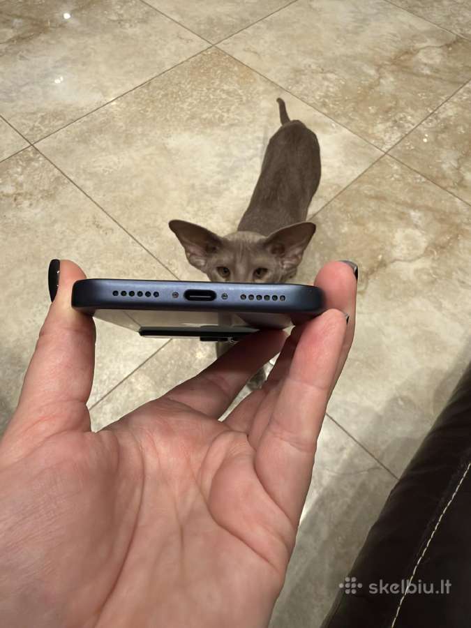 iPhone 17 Pro Max - nuotraukos Nr. 5