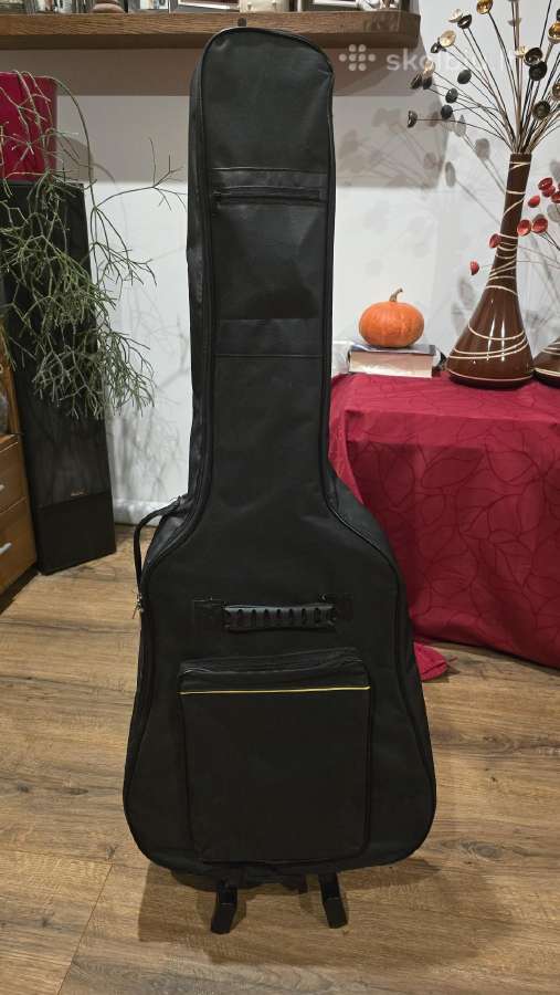 Elektroakustinė gitara Infinity - nuotraukos Nr. 4