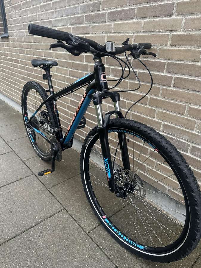 Cannondale Trail5 - nuotraukos Nr. 2