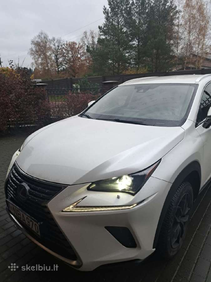 Lexus Nx 300h - nuotraukos Nr. 2