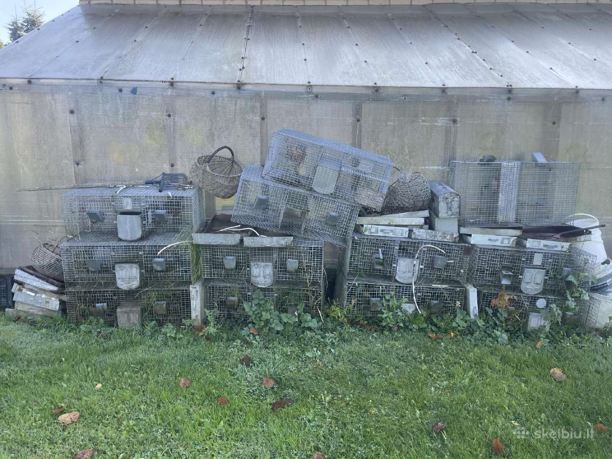 Šinšilų/graužikų narvai 12 vnt - nuotraukos Nr. 2