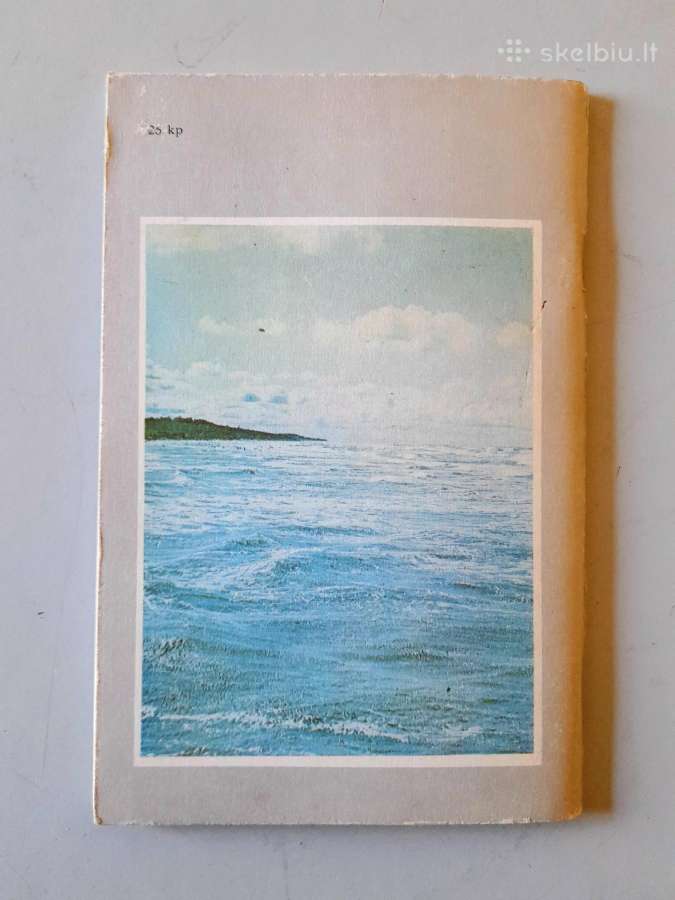 Palanga - nuotraukos Nr. 13