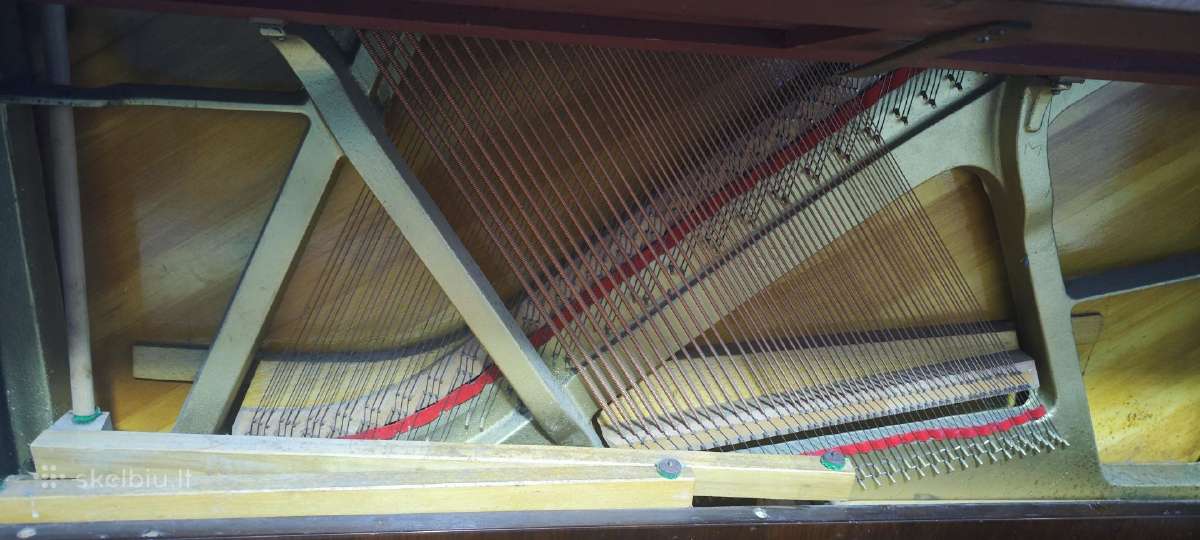 Kamerinis "Petrof" - nuotraukos Nr. 6