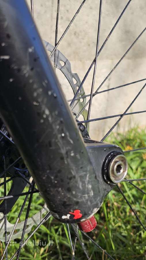 Canyon Torque Dhx Downhill dviratis - nuotraukos Nr. 22