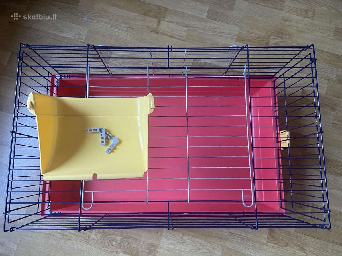 iMac narvas graužikams - nuotraukos Nr. 3