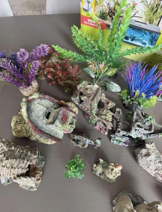 Aquael 24 L akvariumas, su papuošimais ir kt. - nuotraukos Nr. 7