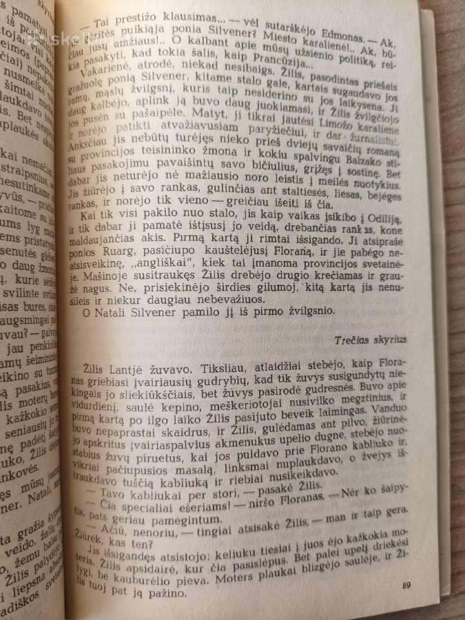 "Sveikas, liūdesy. Truputis saulės šaltam vandeny" - nuotraukos Nr. 9